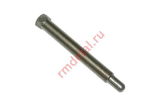Болт L10600059